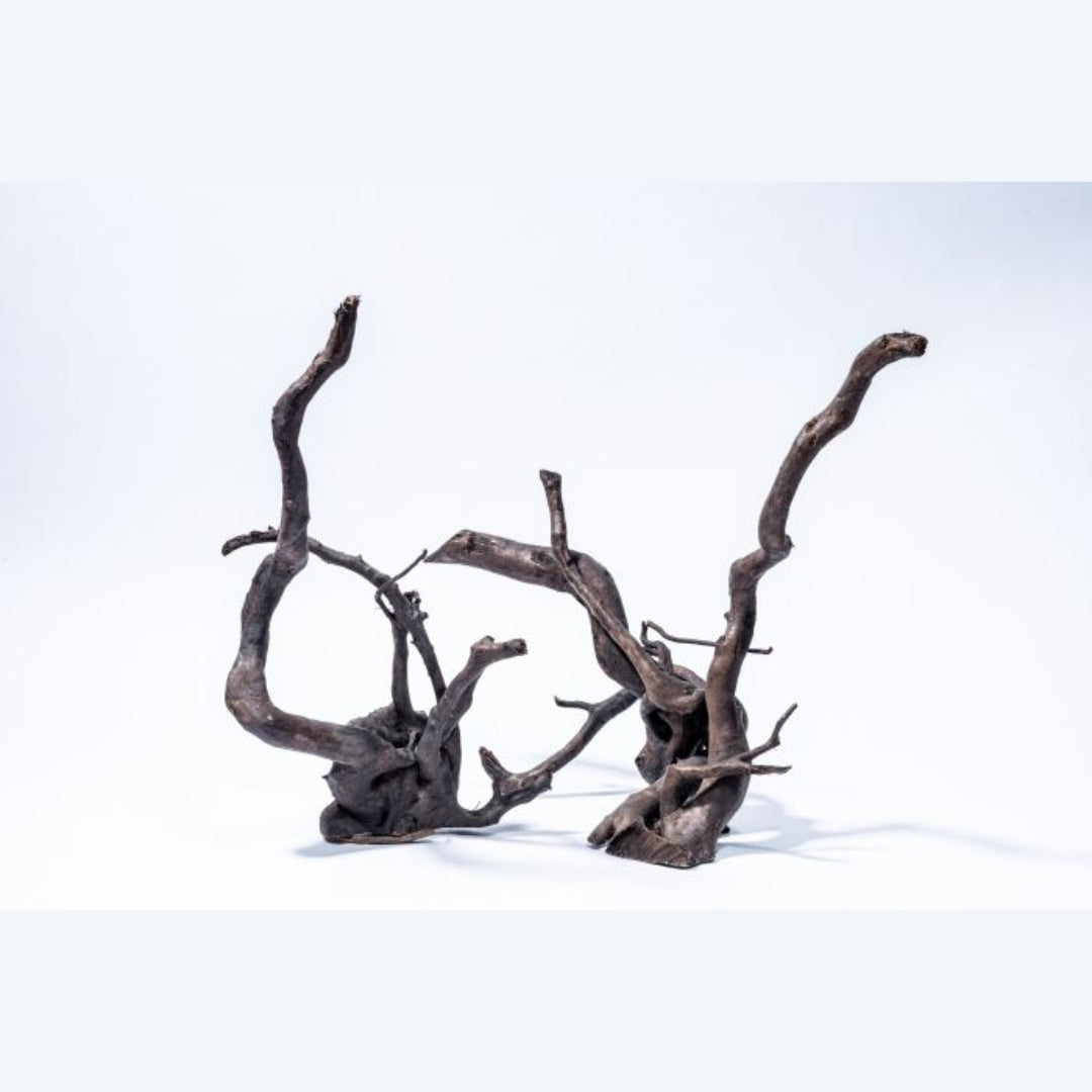 Black Root – Dramatische Kontraste & Elegante Strukturen - AS+