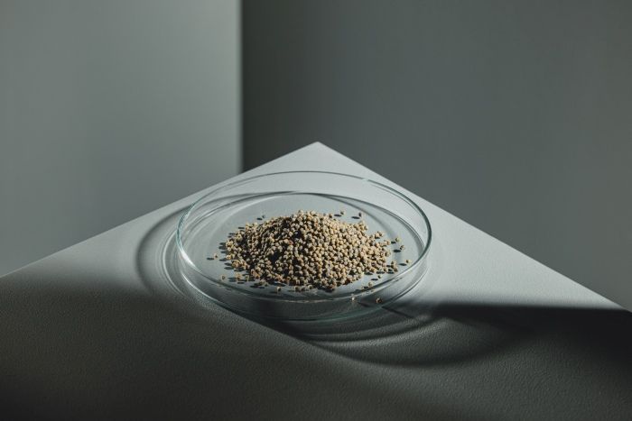StreamBiz Buntbarsch Spirulina Softgranulat 🐟🌿 - AS+