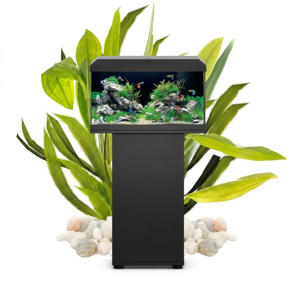 🐠 JUWEL Primo 60 LED 2.0 – Schwarz 🖤 Dein perfekter Einstieg in die Aquaristik! - AS+ AquaTimo