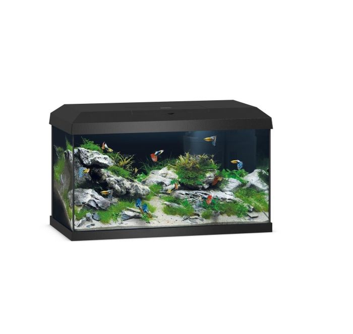 🐠 JUWEL Primo 60 LED 2.0 – Schwarz 🖤 Dein perfekter Einstieg in die Aquaristik! - AS+