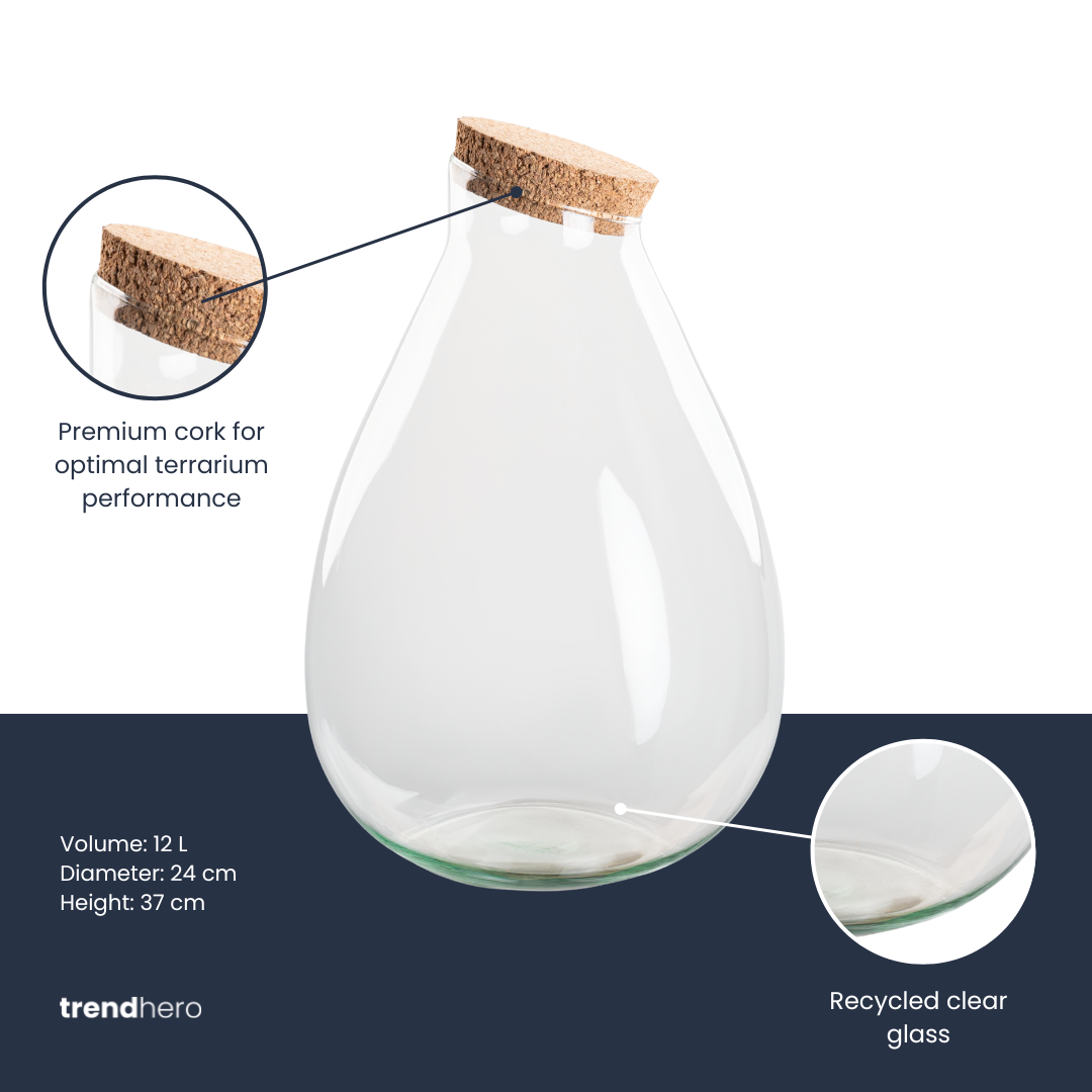 Elegant & Markant: Terrarium Flasche „Drop XL“ – Der Blickfang für Ihr Mini-Ökosystem 💧🌳 - ES+