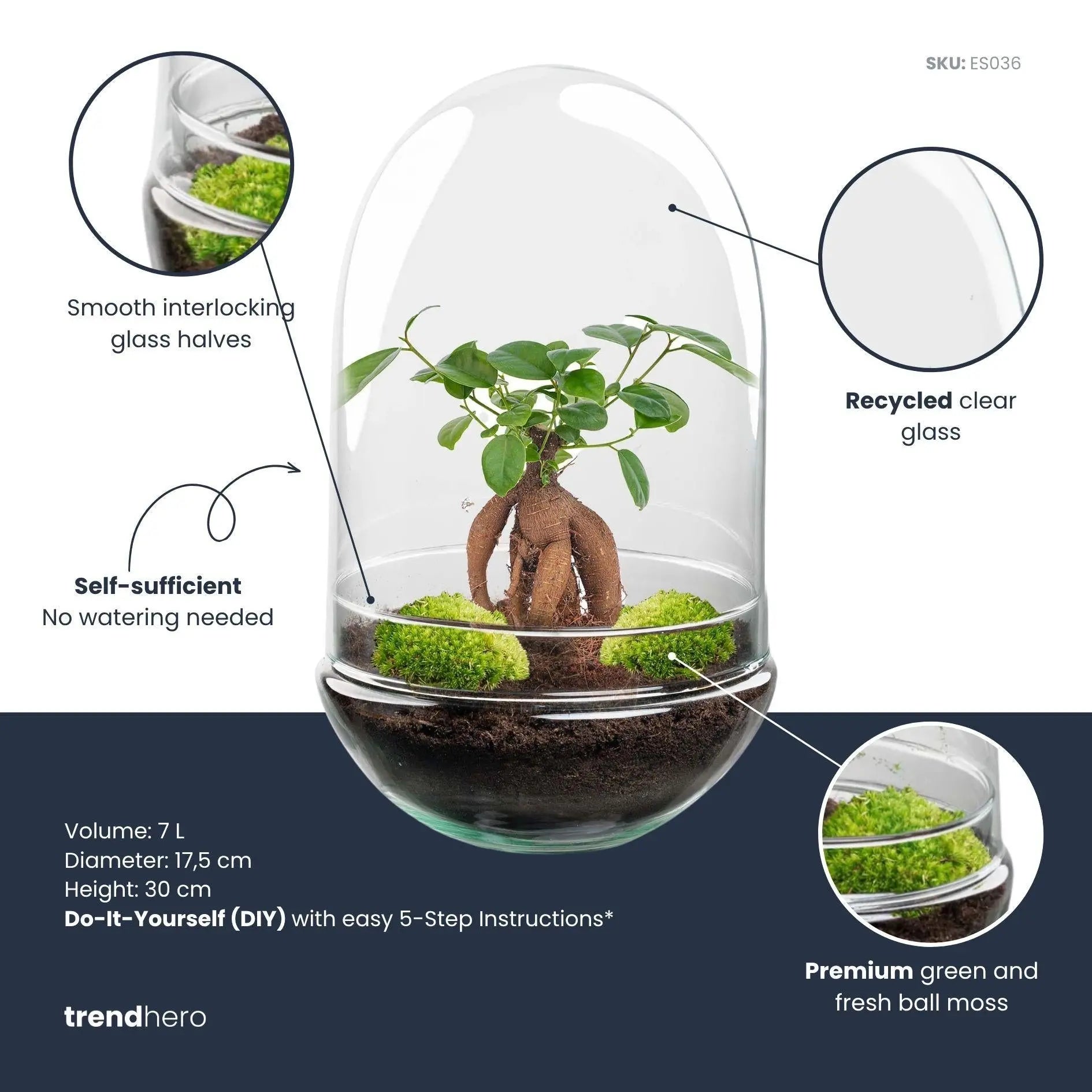 Flaschengarten DIY Set 'Egg XL Bonsai' – Ihr autarkes Mini-Ökosystem m