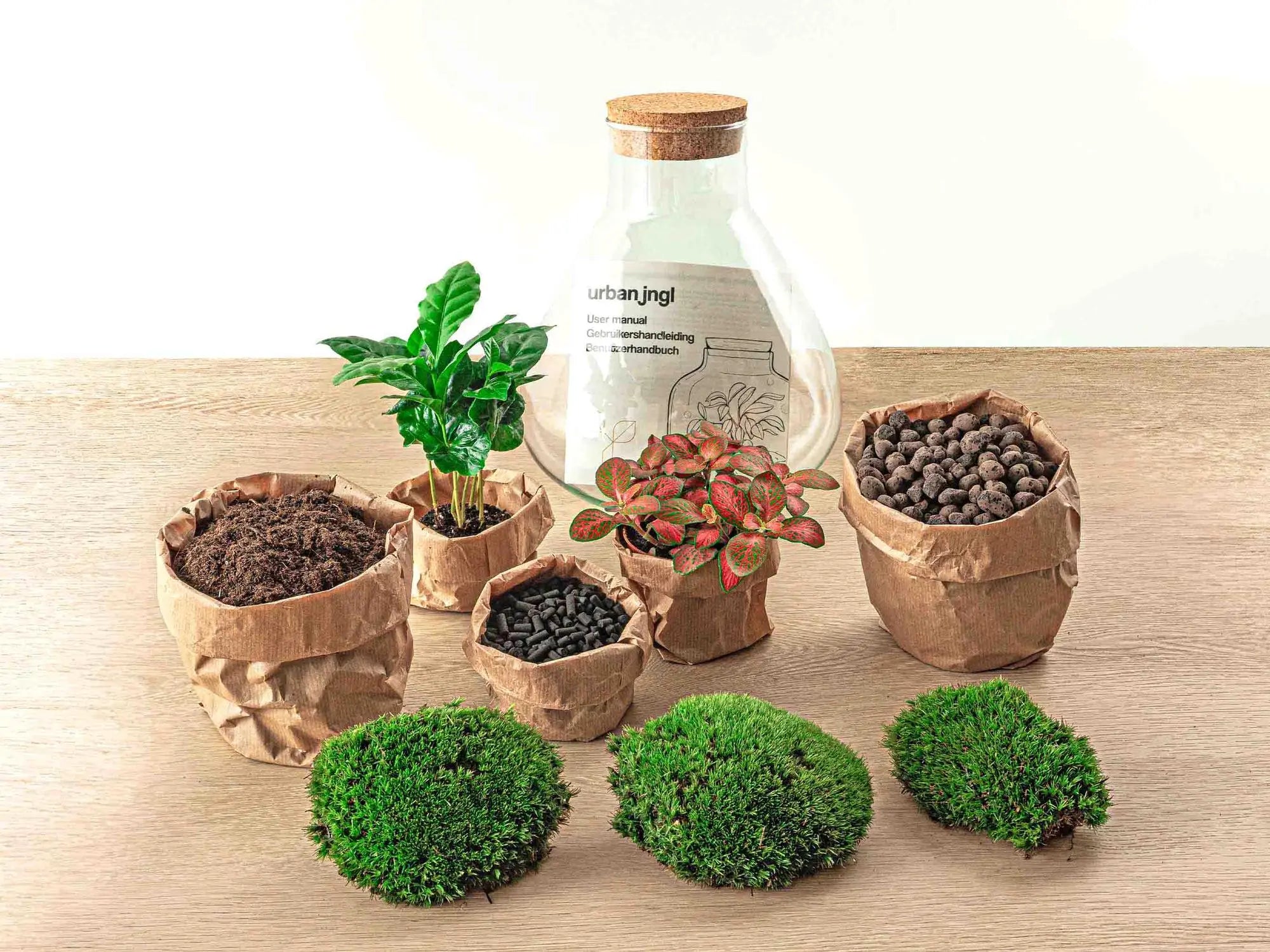 DIY Flaschengarten Set "Sammie Coffea" – Autarkes Mini-Ökosystem inkl. Werkzeug ☕🌱✨ - ES+ Everspring