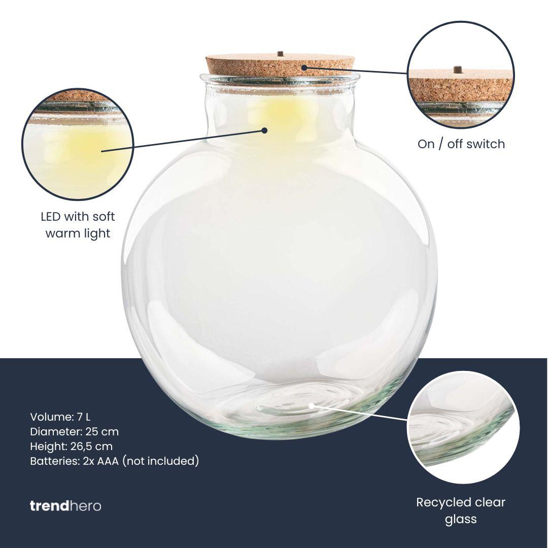 Die Terrarium-Flasche „Teddy“ (ohne LED-Kurk) 🌱💎 - ES+