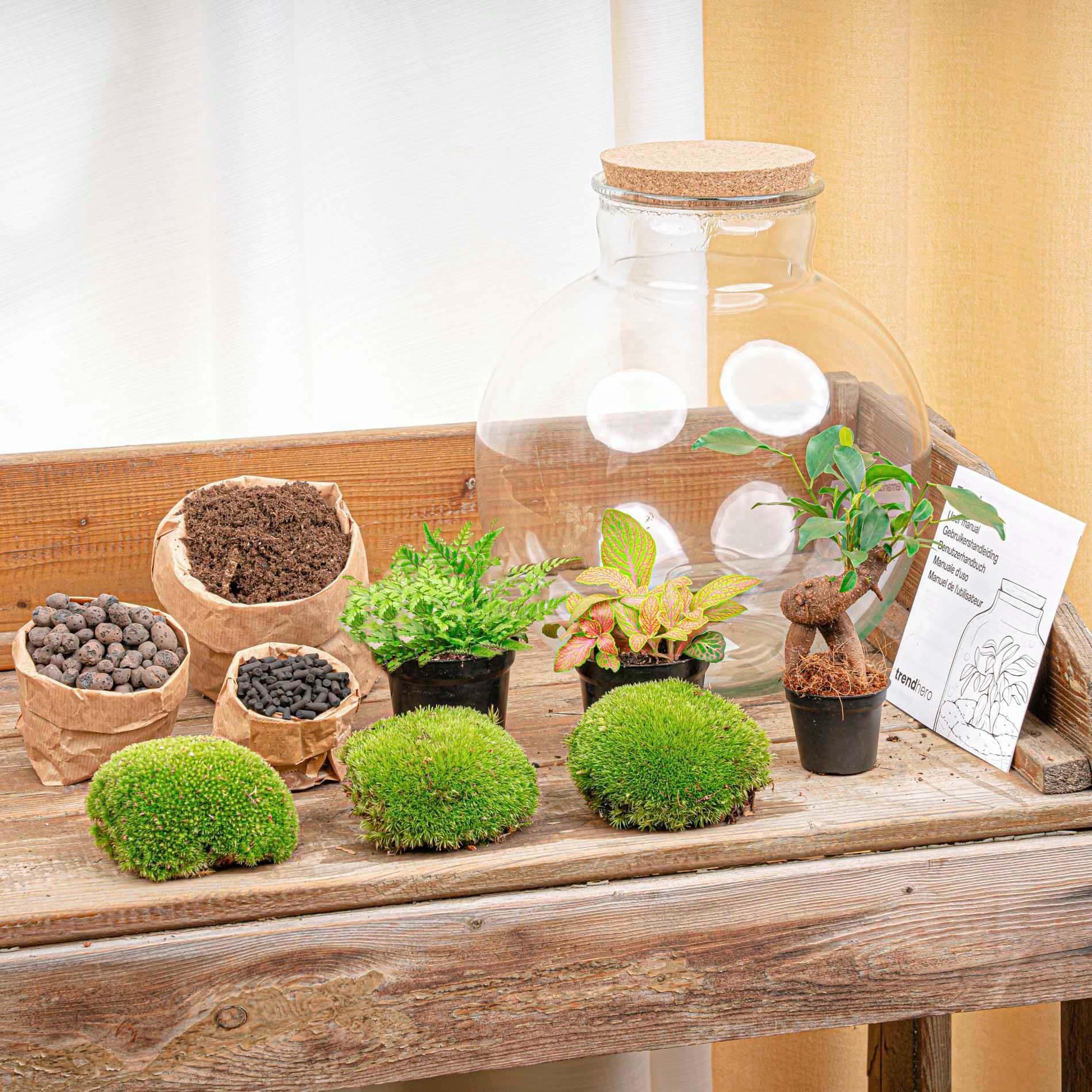 Flaschengarten DIY Set 'Bolder Bob Bonsai' – Ihr autarkes Mini-Ökosystem zum Selbermachen 🌳✨ - ES+