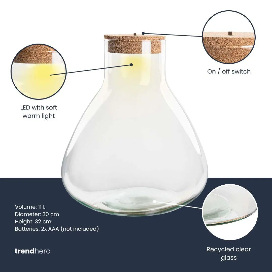 Grüne Oase mit Licht: Terrarium Flasche „Sam XL“ – Eleganz & Atmosphäre 🌿✨ - ES+ Everspring
