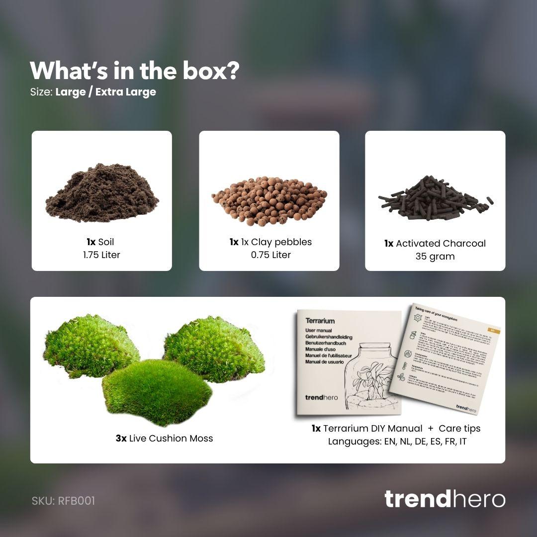 Komplettes Terrarium Nachfüll- & Starter-Set (Größe L/XL): Gesunde Basis für Ihr Mini-Ökosystem 🌿💧 - ES+