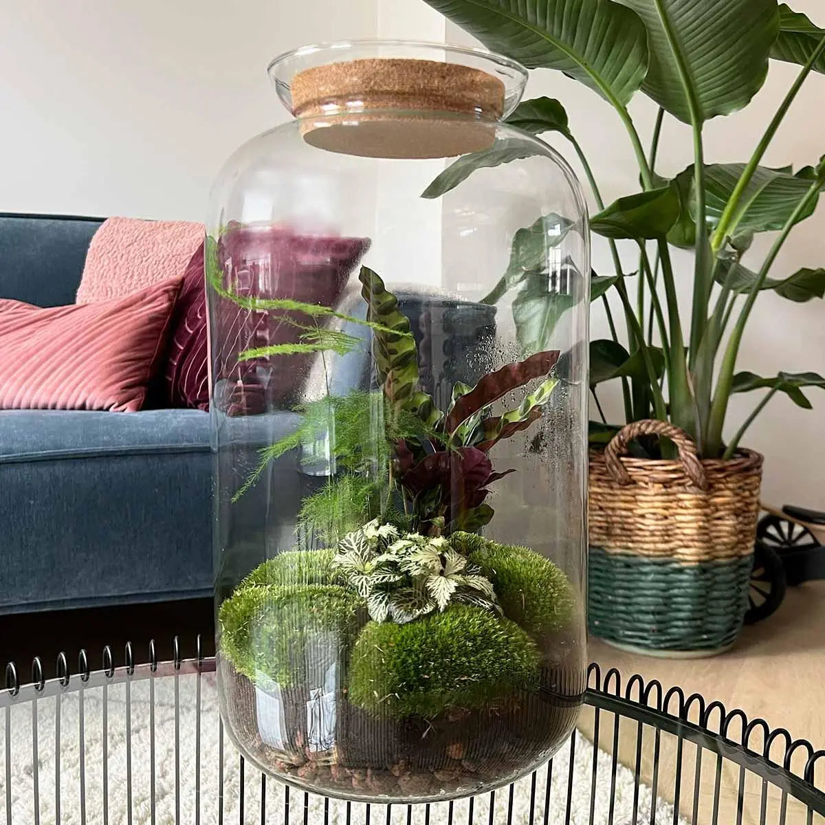 DIY Flaschengarten Set | Botanical Sven XXL – Autarkes Mini-Ökosystem inkl. Werkzeug 🌿🛠️ - ES+ Everspring