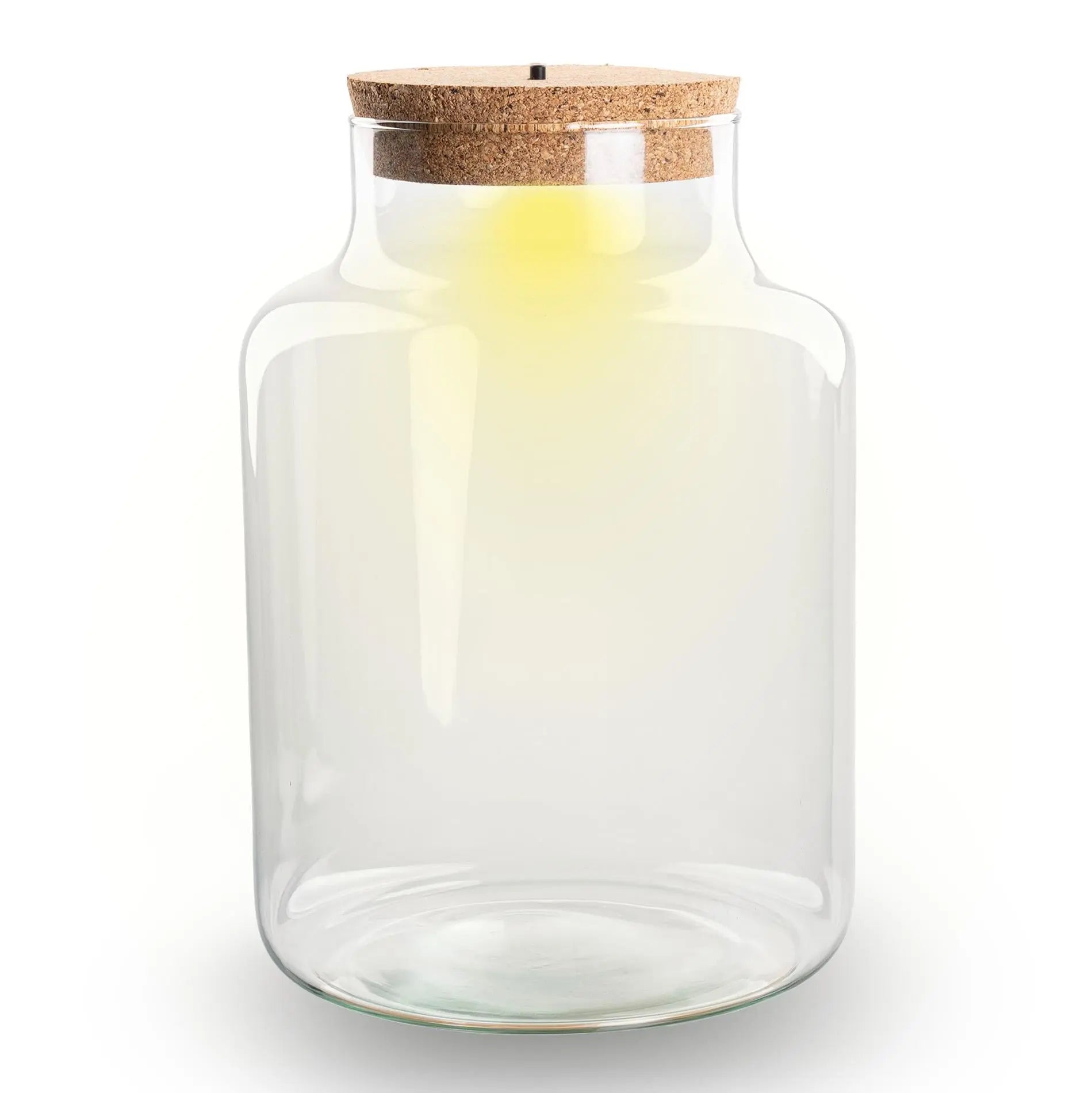 Mini Terrarium Flasche mit LED-Beleuchtung | Little Milky – Der pflegeleichte Grüne Eyecatcher ✨ - ES+ Everspring