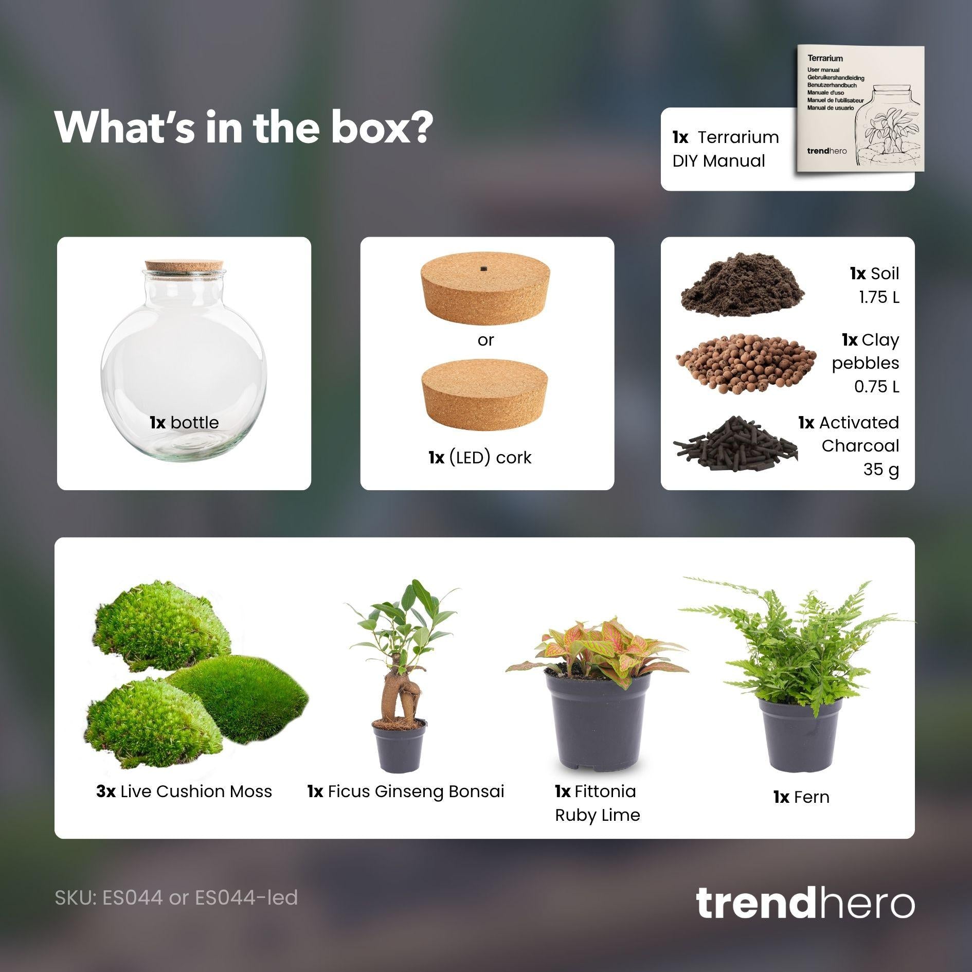 DIY Pflanzen-Terrarium 'Bolder Bob' mit LED-Beleuchtung ✨🌿 - ES+