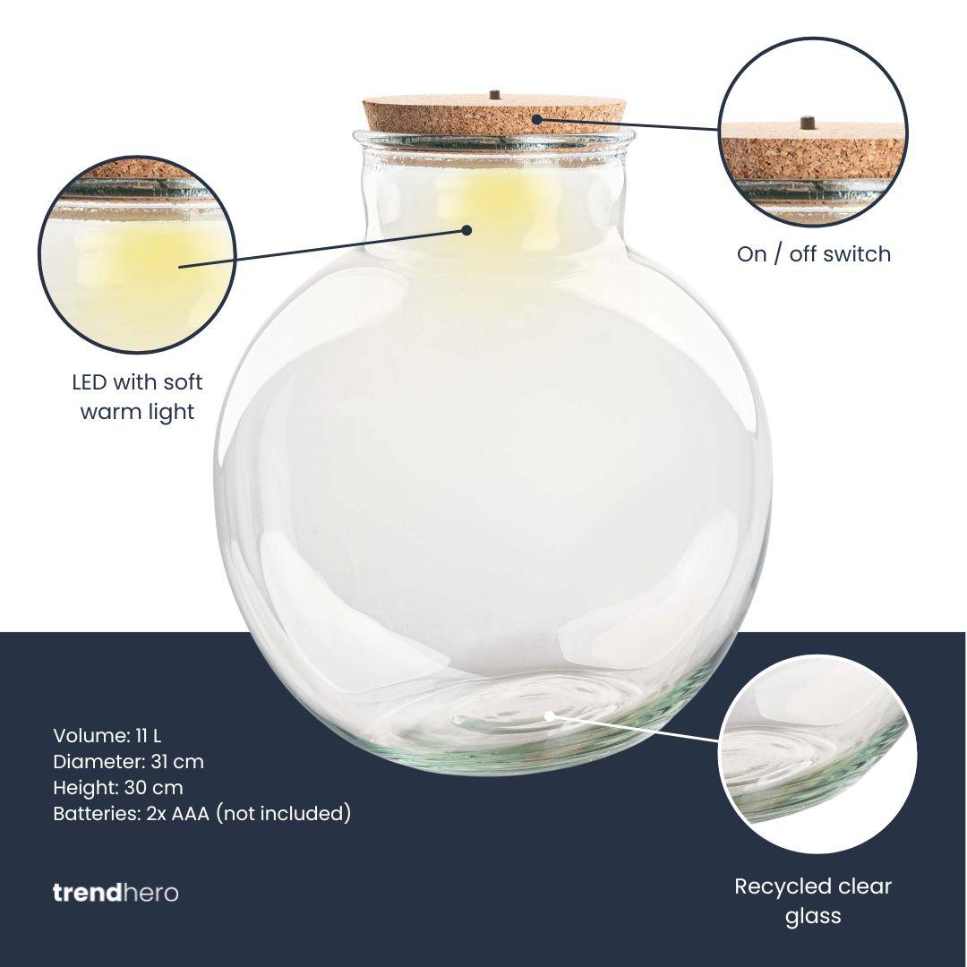 Zeitlose Eleganz für Ihr Mini-Biotop: Terrarium Flasche „Bolder Bob“ (Ohne LED) 🌿✨ - ES+