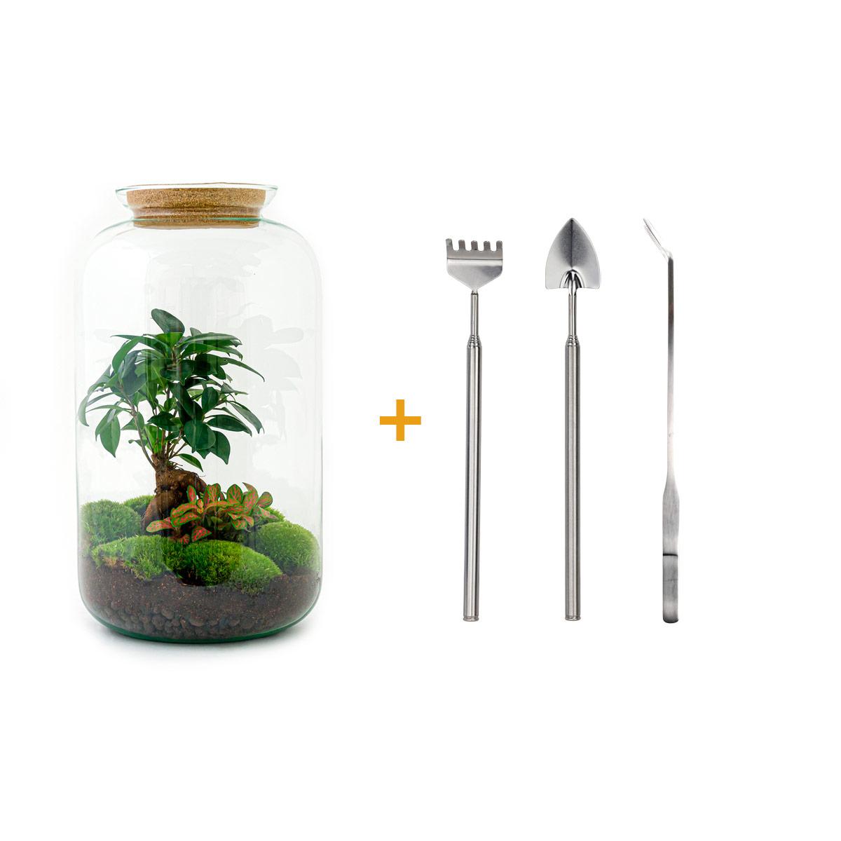 Flaschengarten DIY Set 'Sven Bonsai' – Dein autarkes Biotop mit Profi-Werkzeug 🌳🛠️ - ES+