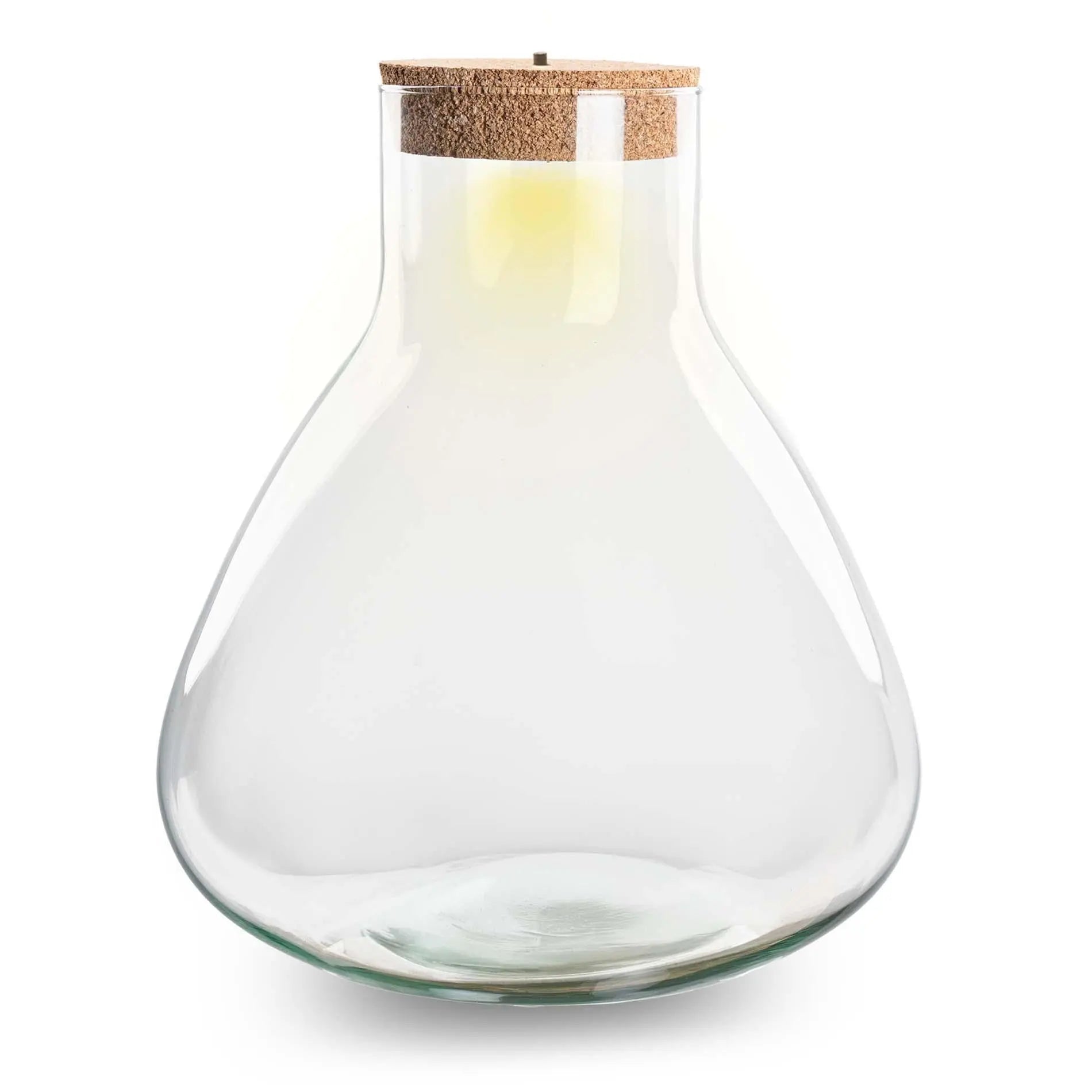 Grüne Oase mit Licht: Terrarium Flasche „Sam XL“ – Eleganz & Atmosphäre 🌿✨ - ES+ Everspring