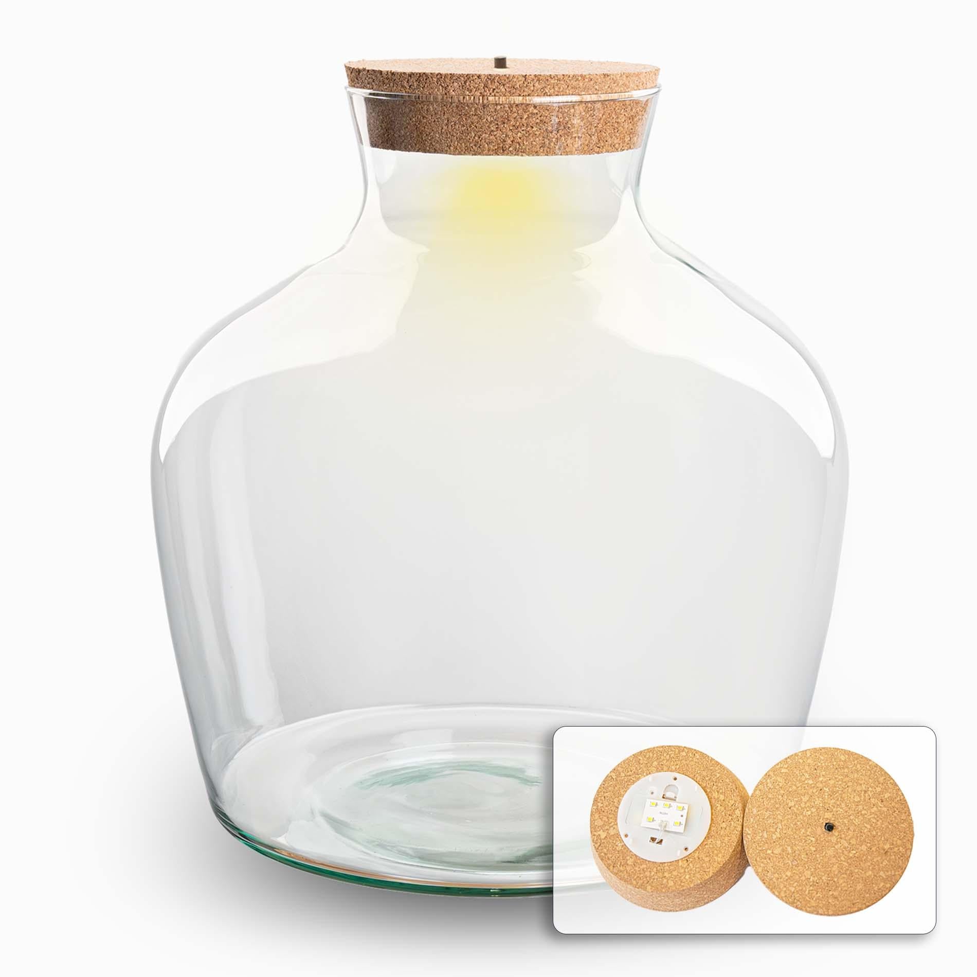 Stilvoller Gigant: Terrarium Flasche „Fat Joe“ mit LED-Beleuchtung – Design & Nachhaltigkeit 💡🌿 - ES+