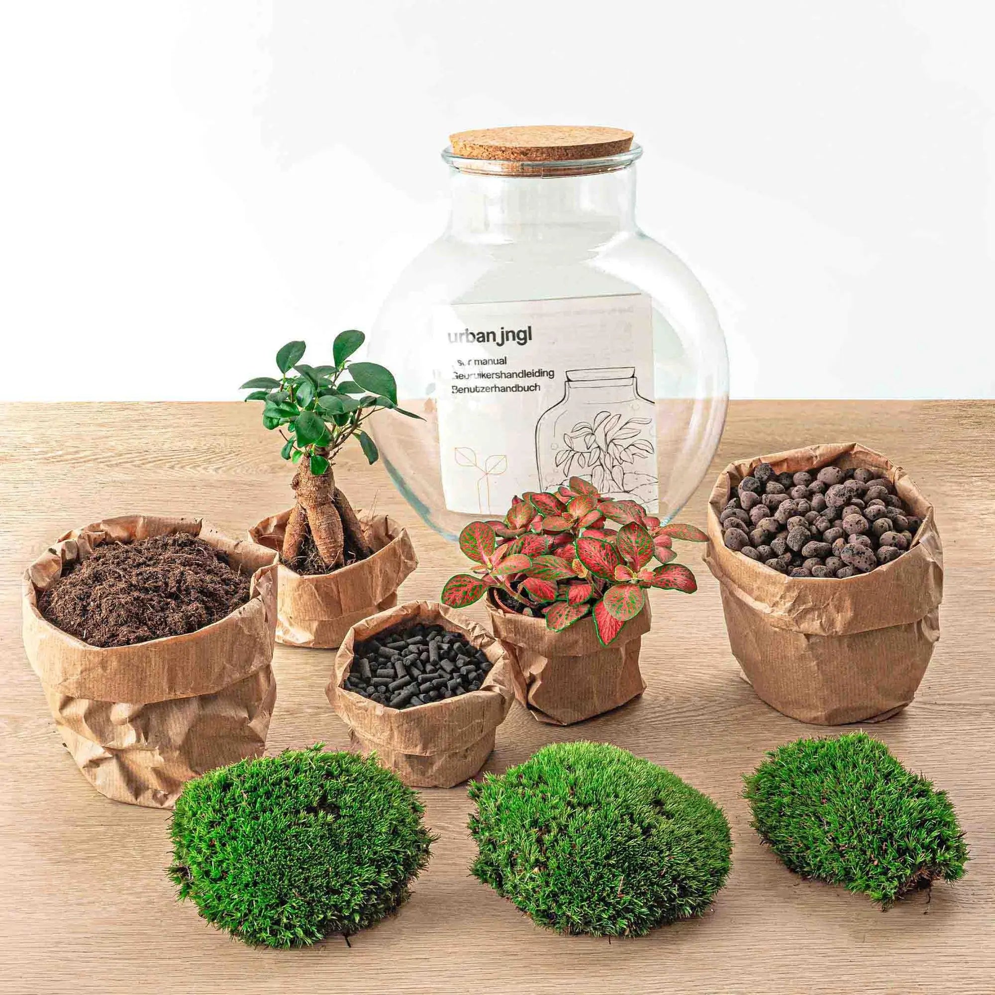 DIY Flaschengarten Set "Teddy Bonsai" – Autarkes Mini-Ökosystem inkl. Werkzeug 🌳🛠️ - ES+ Everspring
