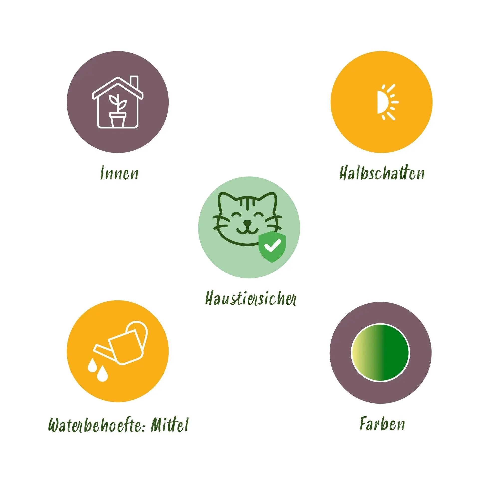 Mix (3er Set) – Haustierfreundliches Grün im weißen Potter 🐾💚 - ES+ Everspring