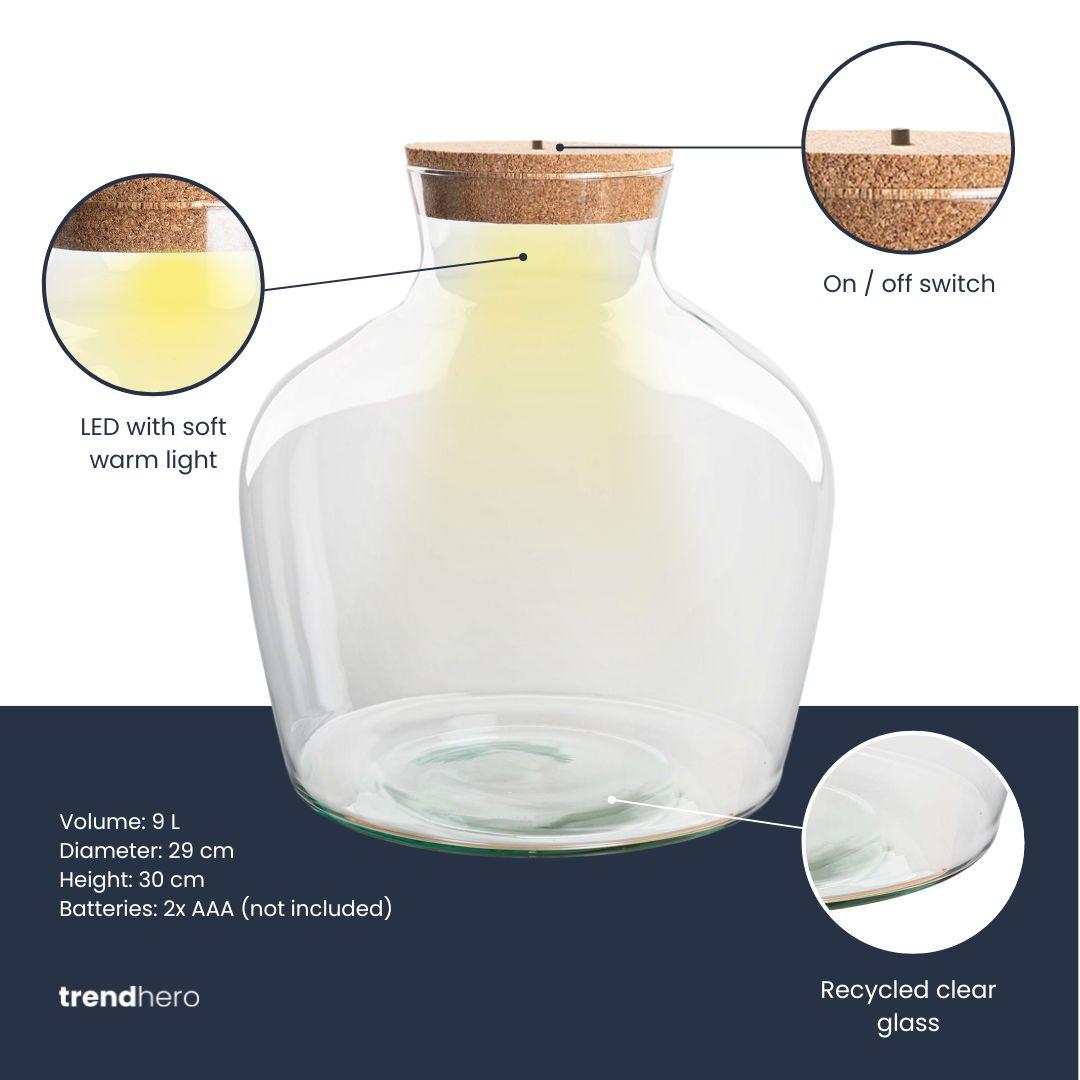 Stilvoller Gigant: Terrarium Flasche „Fat Joe“ mit LED-Beleuchtung – Design & Nachhaltigkeit 💡🌿 - ES+