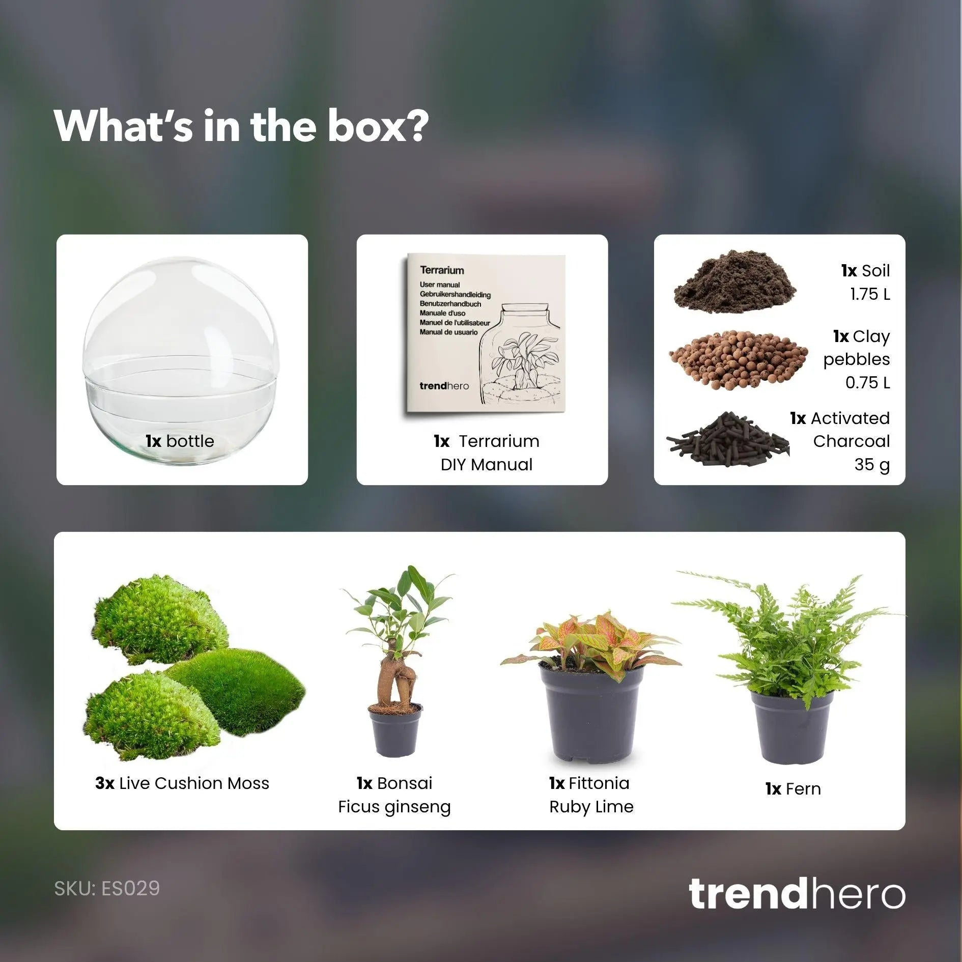 Flaschengarten DIY Set 'Dome XL Bonsai' – Ihr autarkes Mini-Ökosystem zum Selbermachen 🌳 - ES+ Everspring