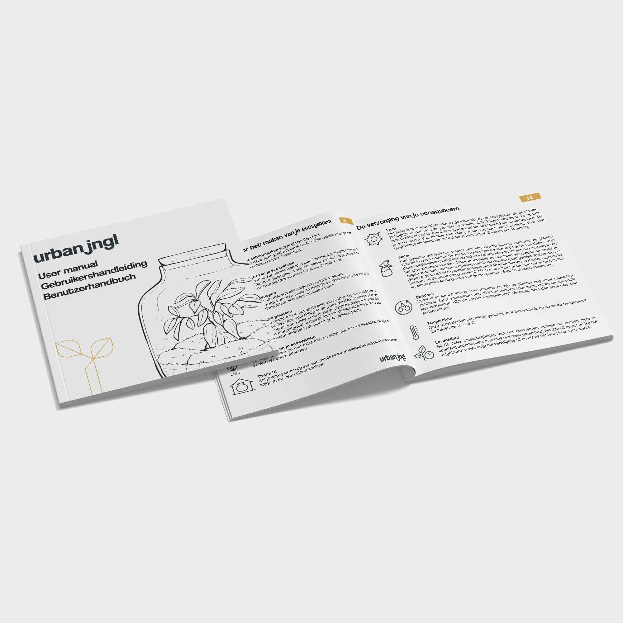 Neustart für Ihren Flaschengarten: Terrarium Nachfüll- & Starter-Set mit Calathea Lancifolia 🌱🐅 - ES+