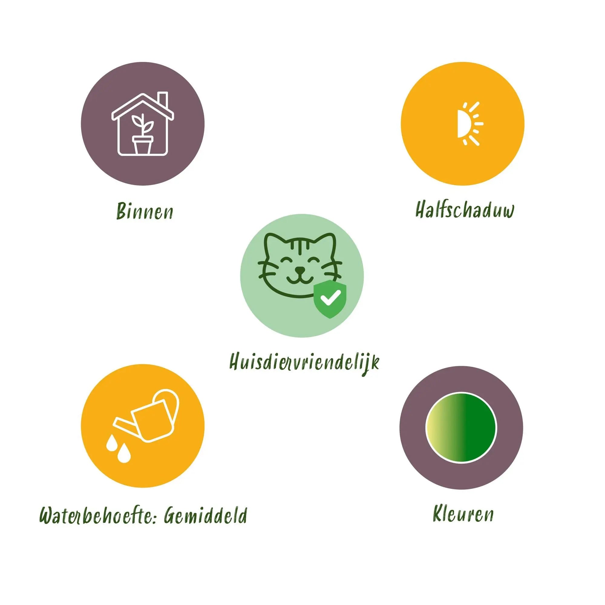 Mix (3er Set) – Haustierfreundliches Grün im weißen Potter 🐾💚 - ES+ Everspring