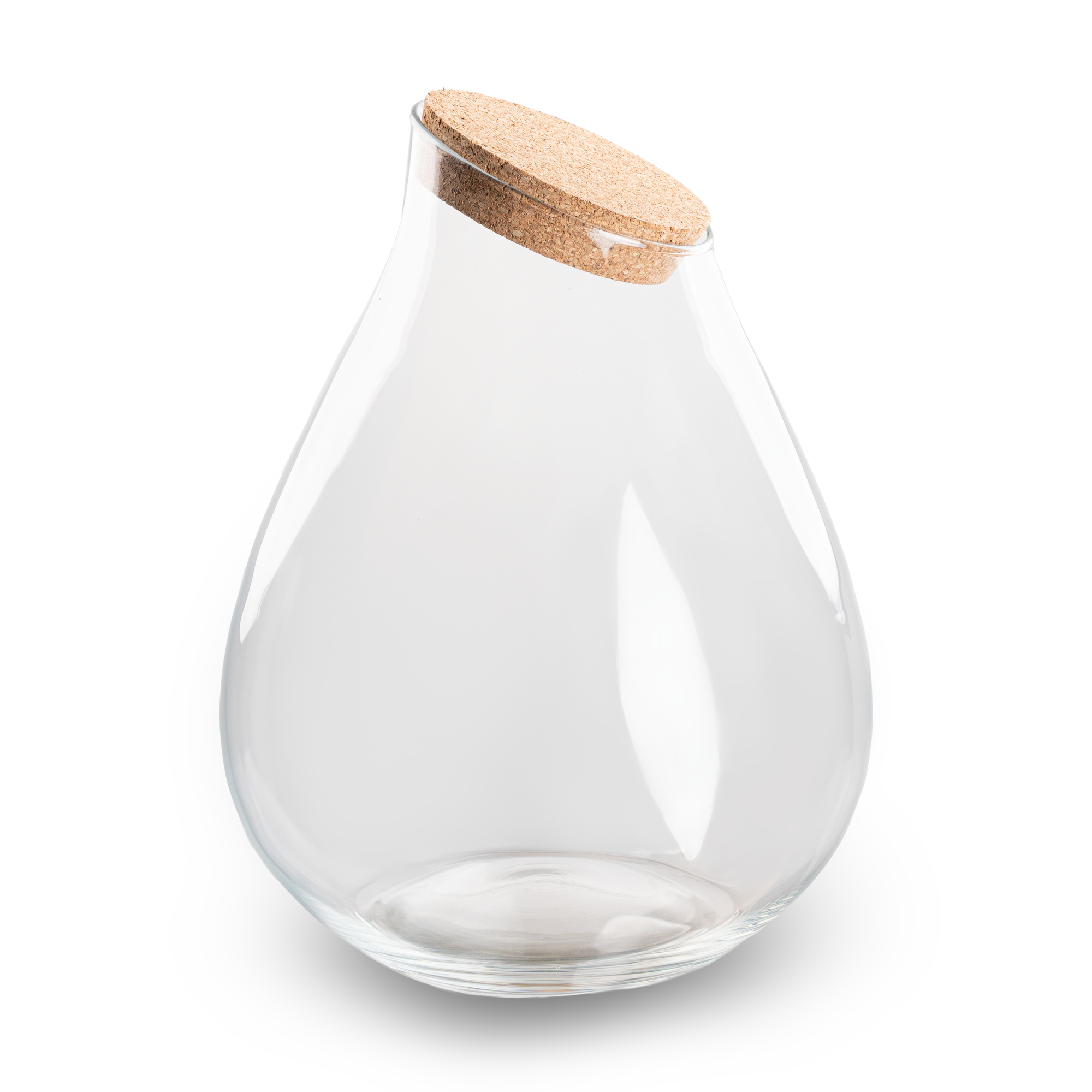Der imposante Flaschengarten: Terrarium Flasche „Drop XXL“ aus edlem Recycling-Glas 💧🌳 - ES+