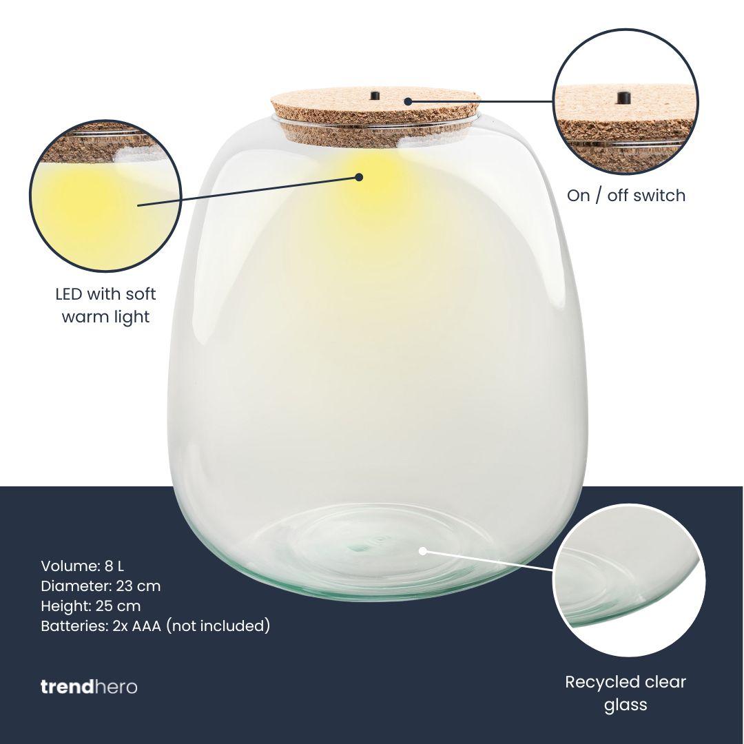 Terrarium Flasche 'Emma' mit LED Beleuchtung – Die pflegeleichte Mini-Oase 💡🌿 - ES+