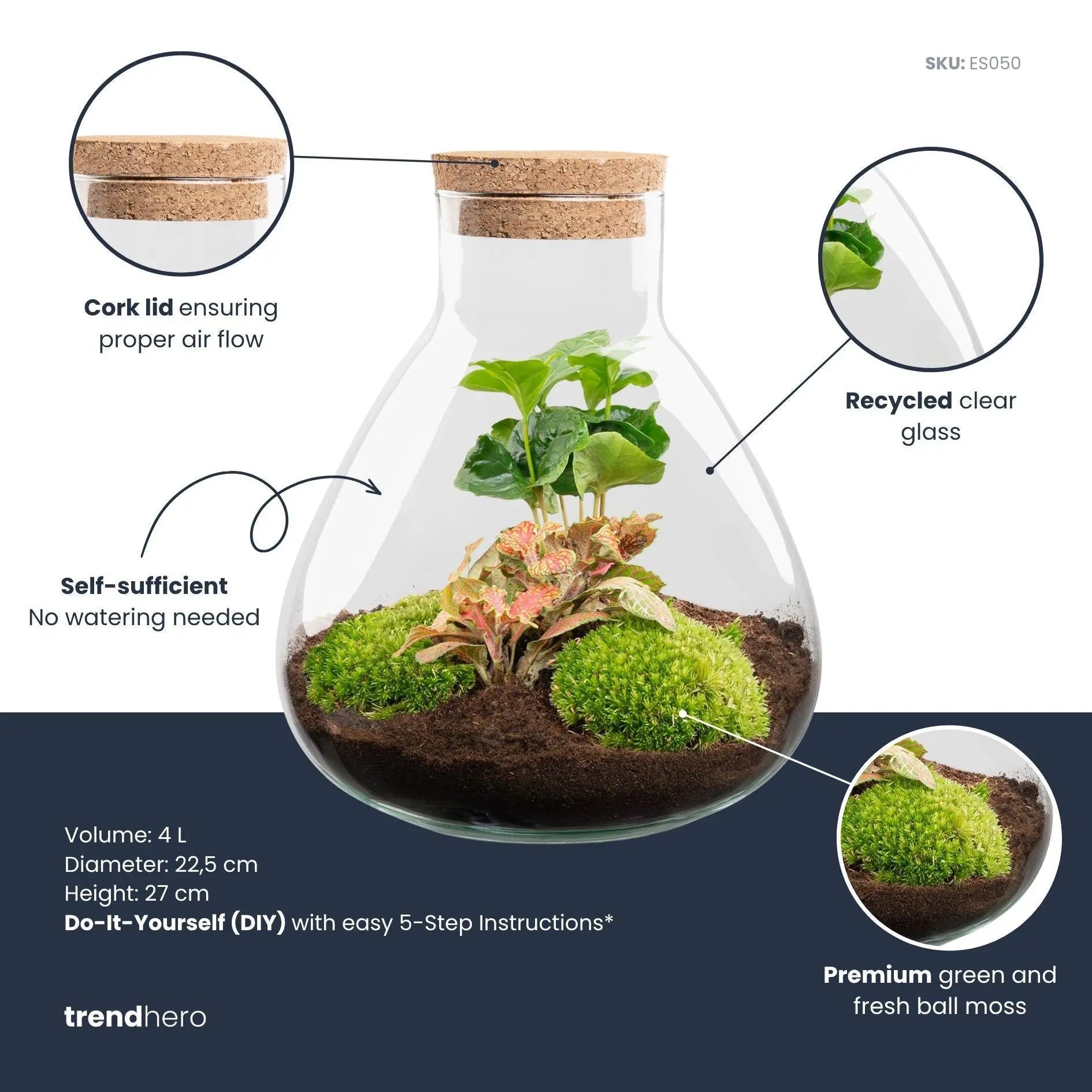 DIY Flaschengarten Set "Sammie Coffea" – Autarkes Mini-Ökosystem ohne Gießstress ☕🌿✨ - ES+ Everspring