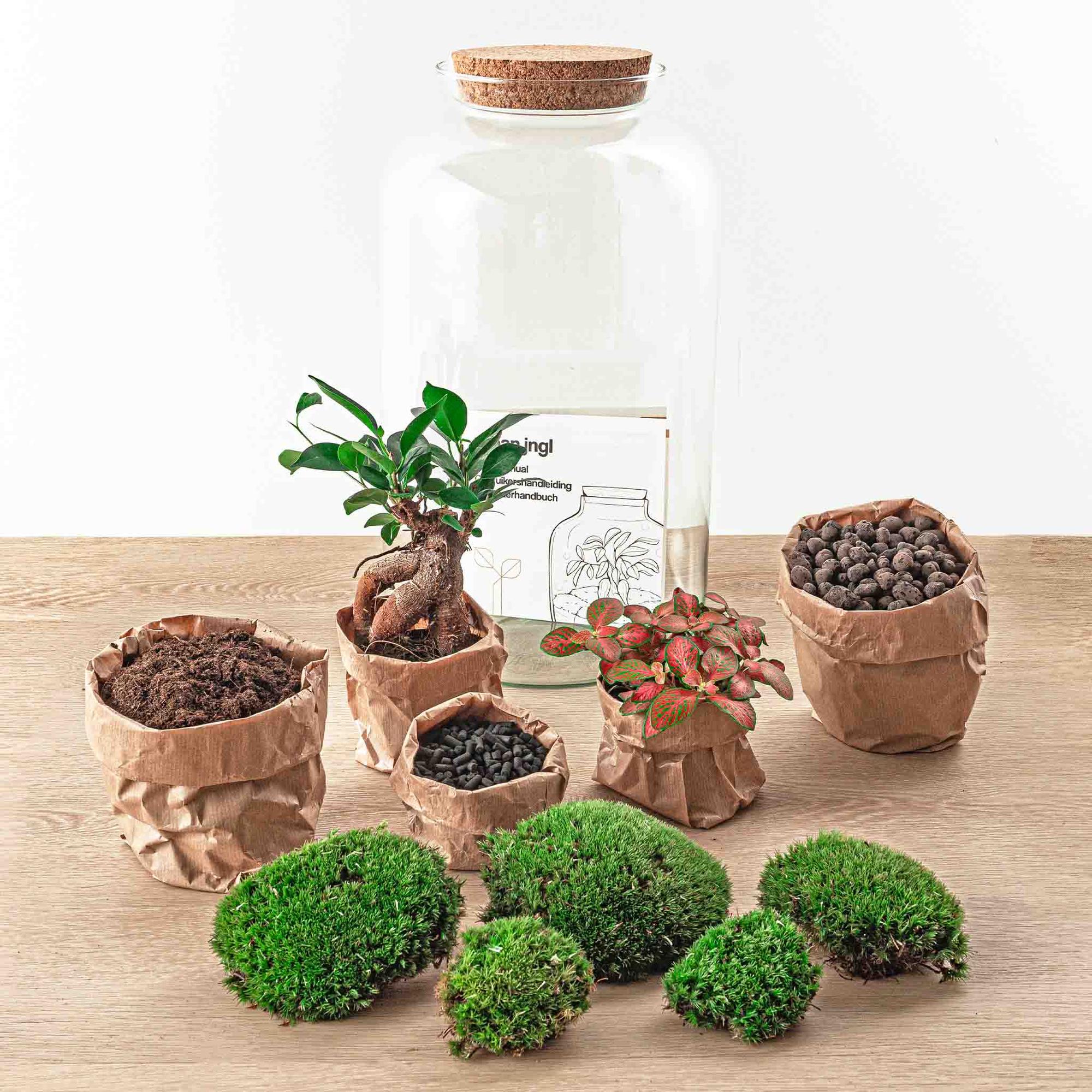 Flaschengarten DIY Set 'Sven Bonsai' – Dein autarkes Biotop mit Profi-Werkzeug 🌳🛠️ - ES+