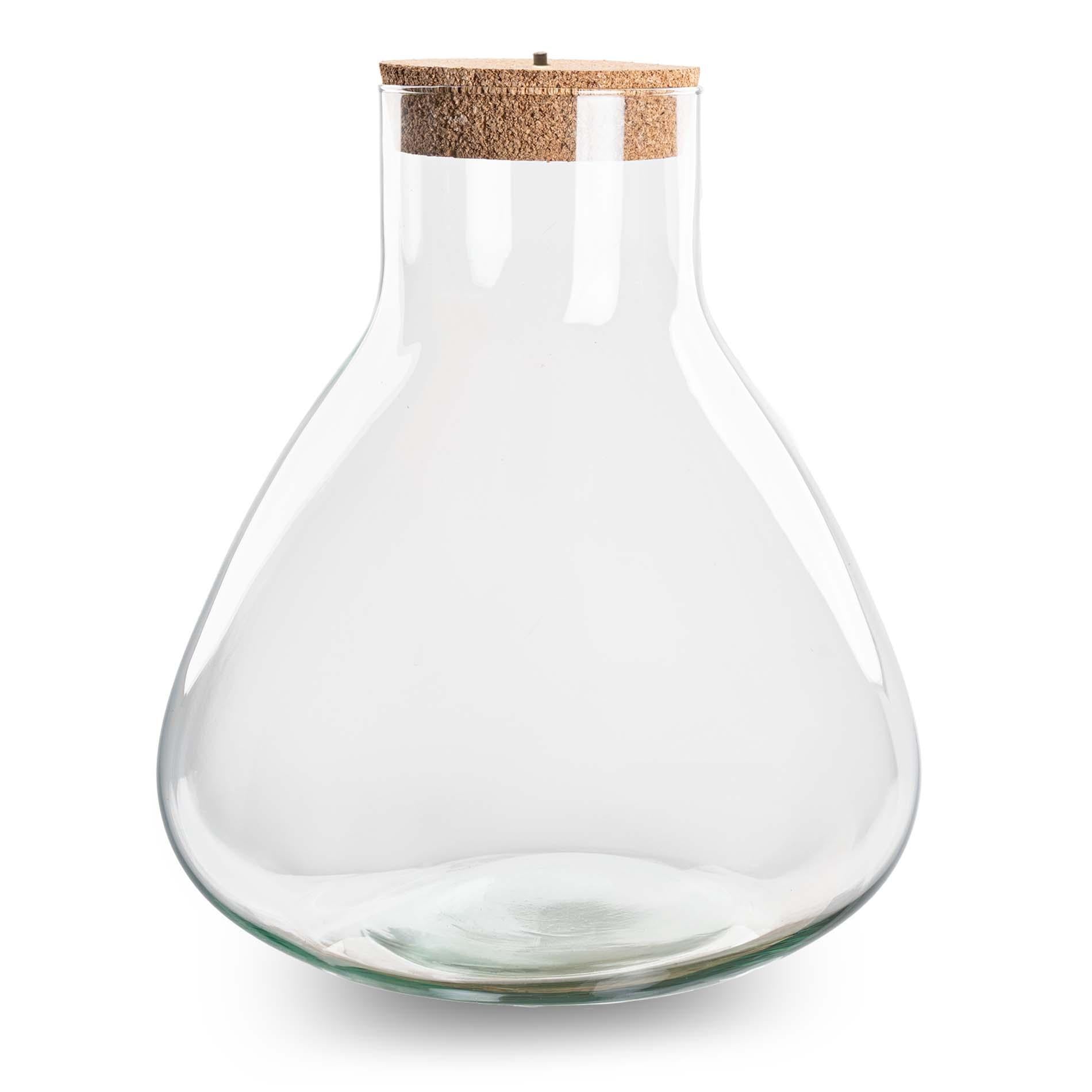 Grüne Oase mit Licht: Terrarium Flasche „Sam XL“ – Eleganz & Atmosphäre 🌿✨ - ES+