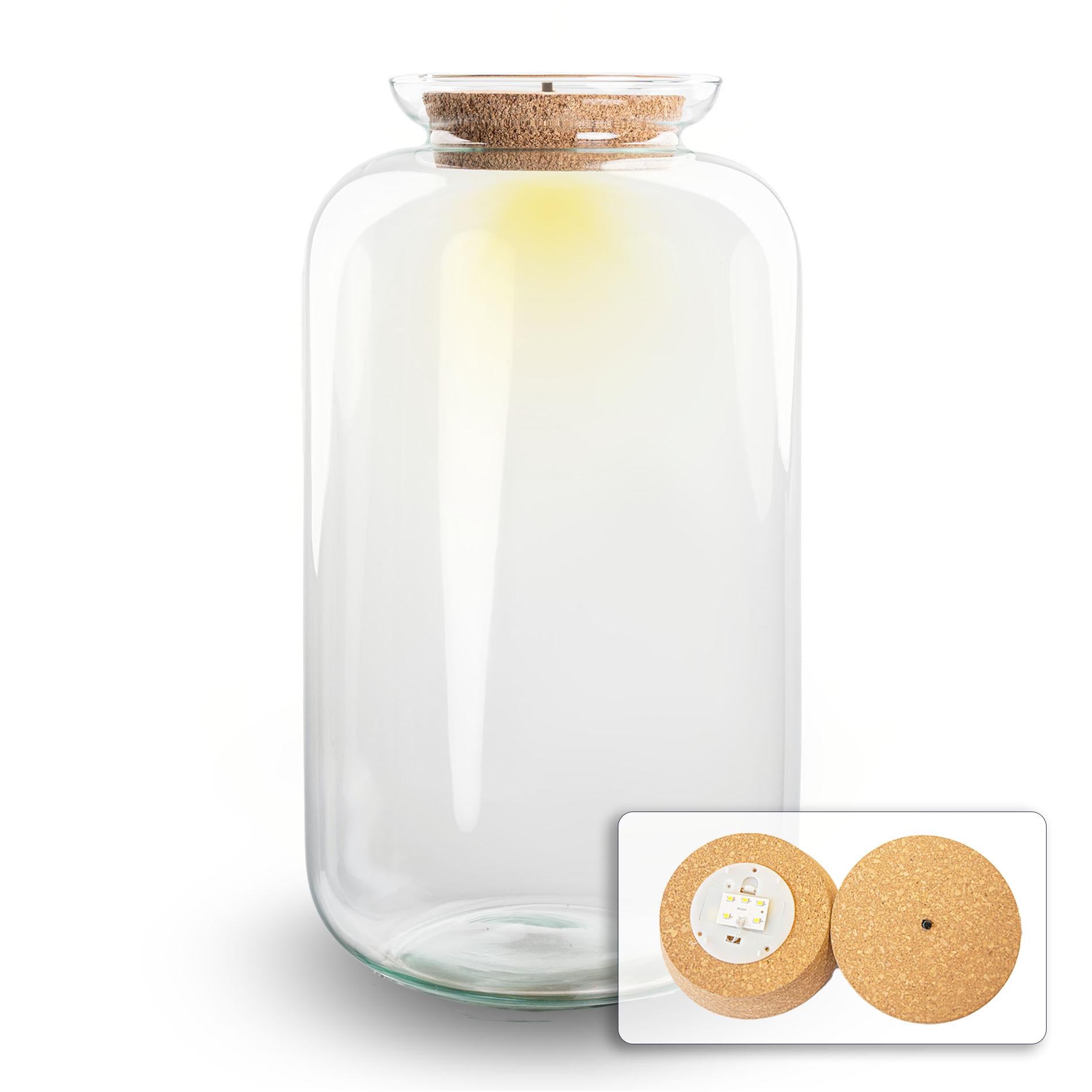 Atmosphärischer Flaschengarten: Terrarium „Sven XL“ mit stilvoller LED-Beleuchtung 💡🌿 - ES+