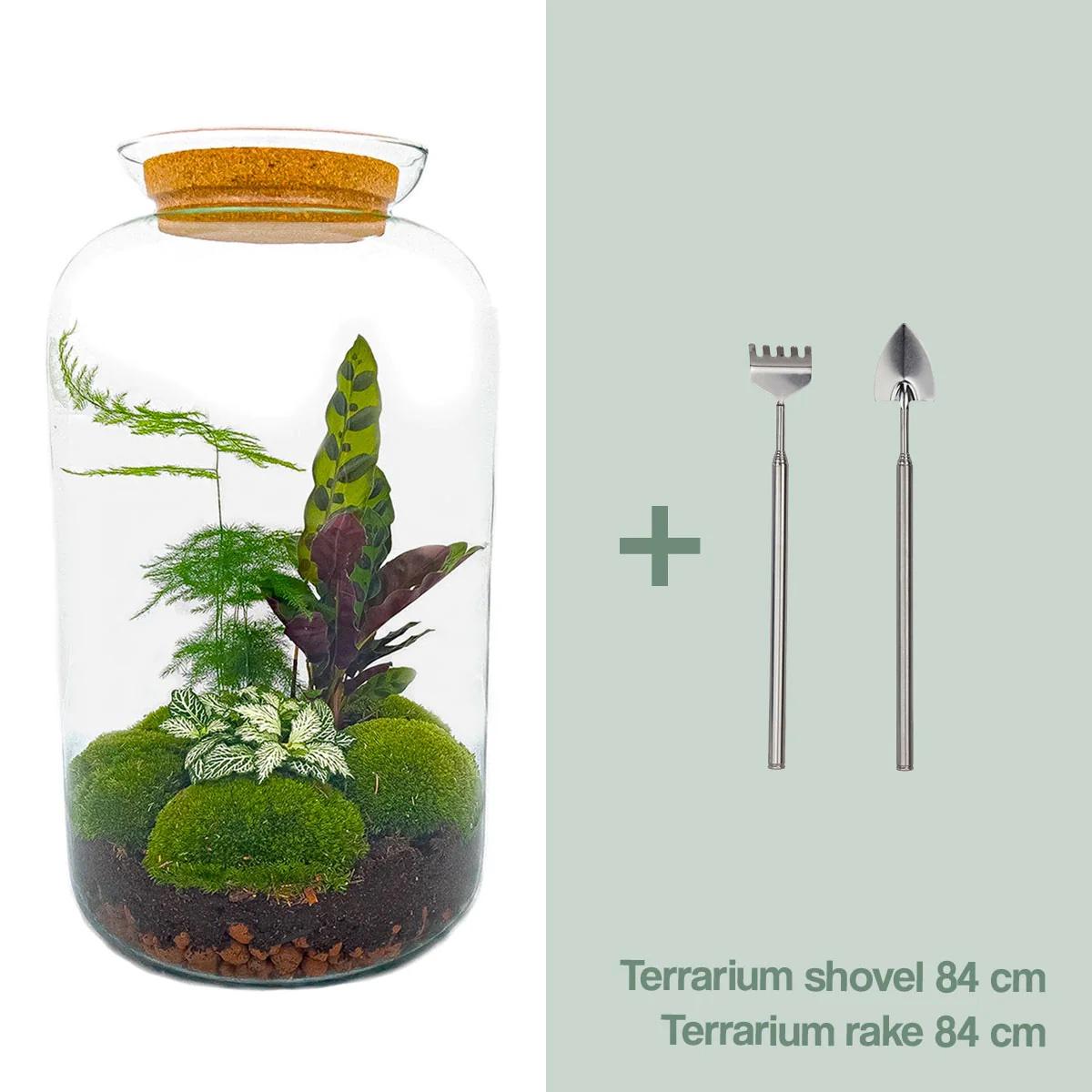 DIY Flaschengarten Set | Botanical Sven XXL – Autarkes Mini-Ökosystem inkl. Werkzeug 🌿🛠️ - ES+