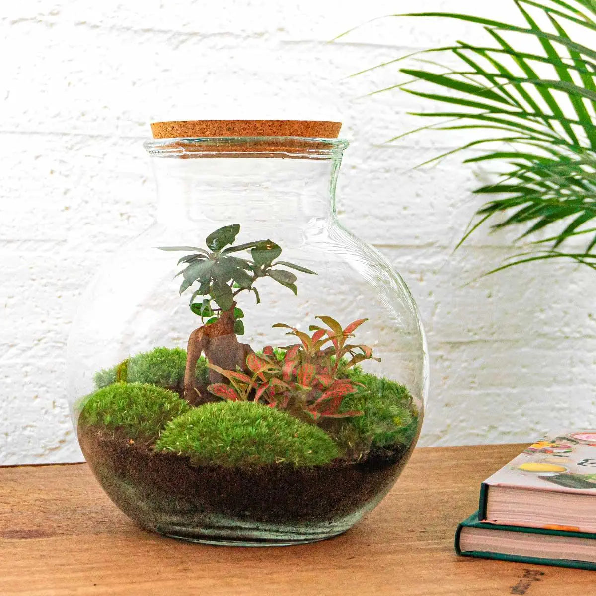 DIY Flaschengarten Set "Teddy Bonsai" – Autarkes Mini-Ökosystem inkl. Werkzeug 🌳🛠️ - ES+ Everspring