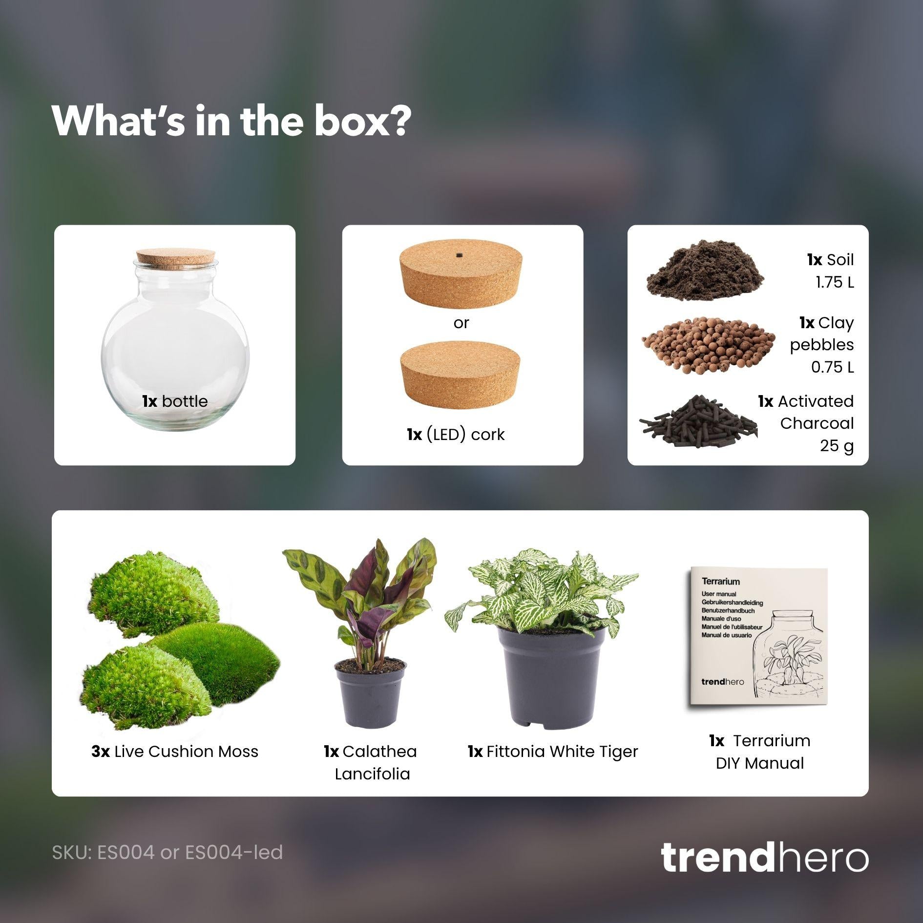 Flaschengarten-Set „Teddy“ (Ohne Werkzeug): Autarkes Mini-Ökosystem in Bestform! 🌿✨ - ES+