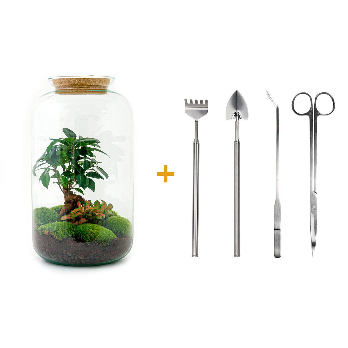 Flaschengarten DIY Set 'Sven Bonsai' – Dein autarkes Biotop mit Profi-Werkzeug 🌳✂️ - ES+
