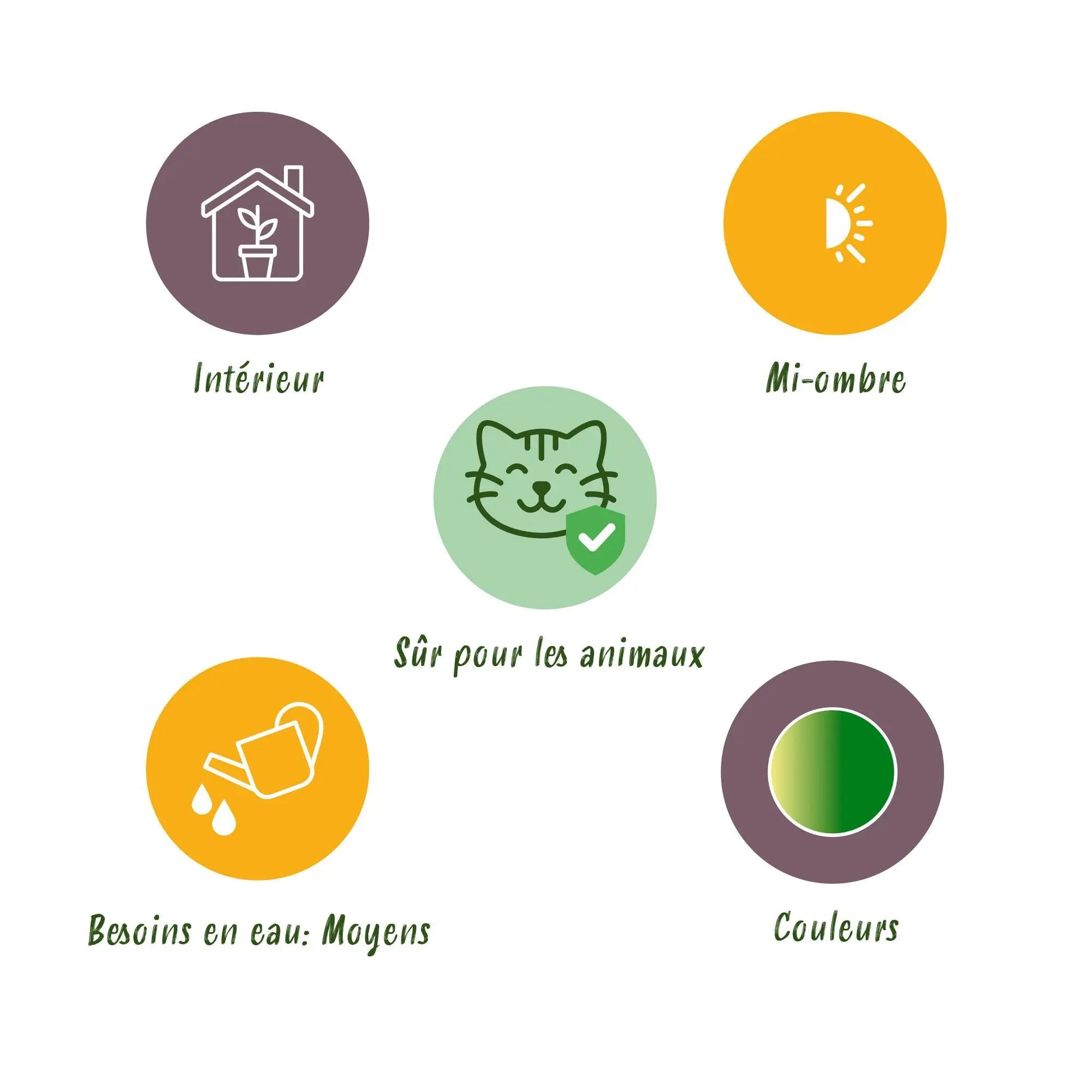 Mix (3er Set) – Haustierfreundliches Grün im weißen Potter 🐾💚 - ES+ Everspring
