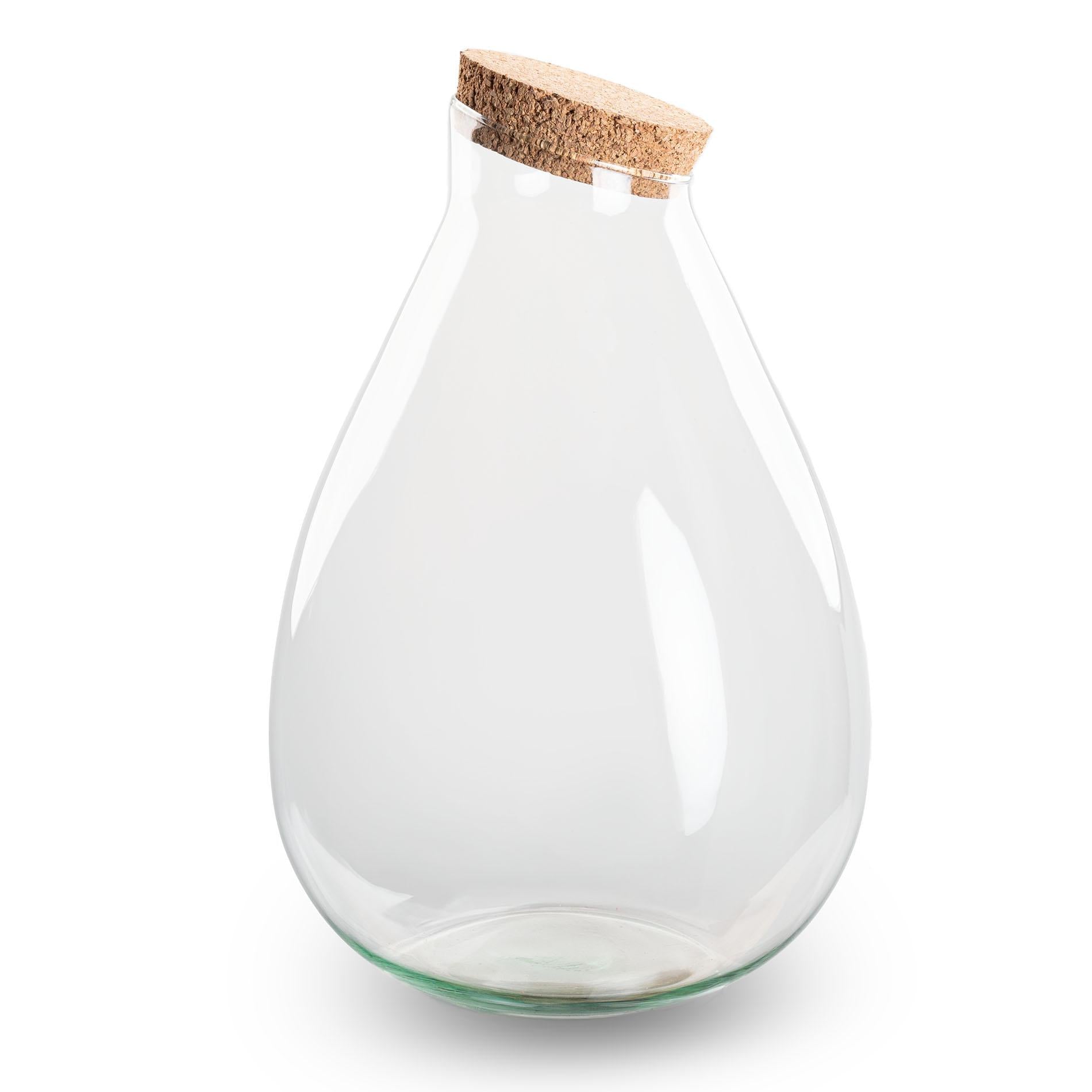 Elegant & Markant: Terrarium Flasche „Drop XL“ – Der Blickfang für Ihr Mini-Ökosystem 💧🌳 - ES+