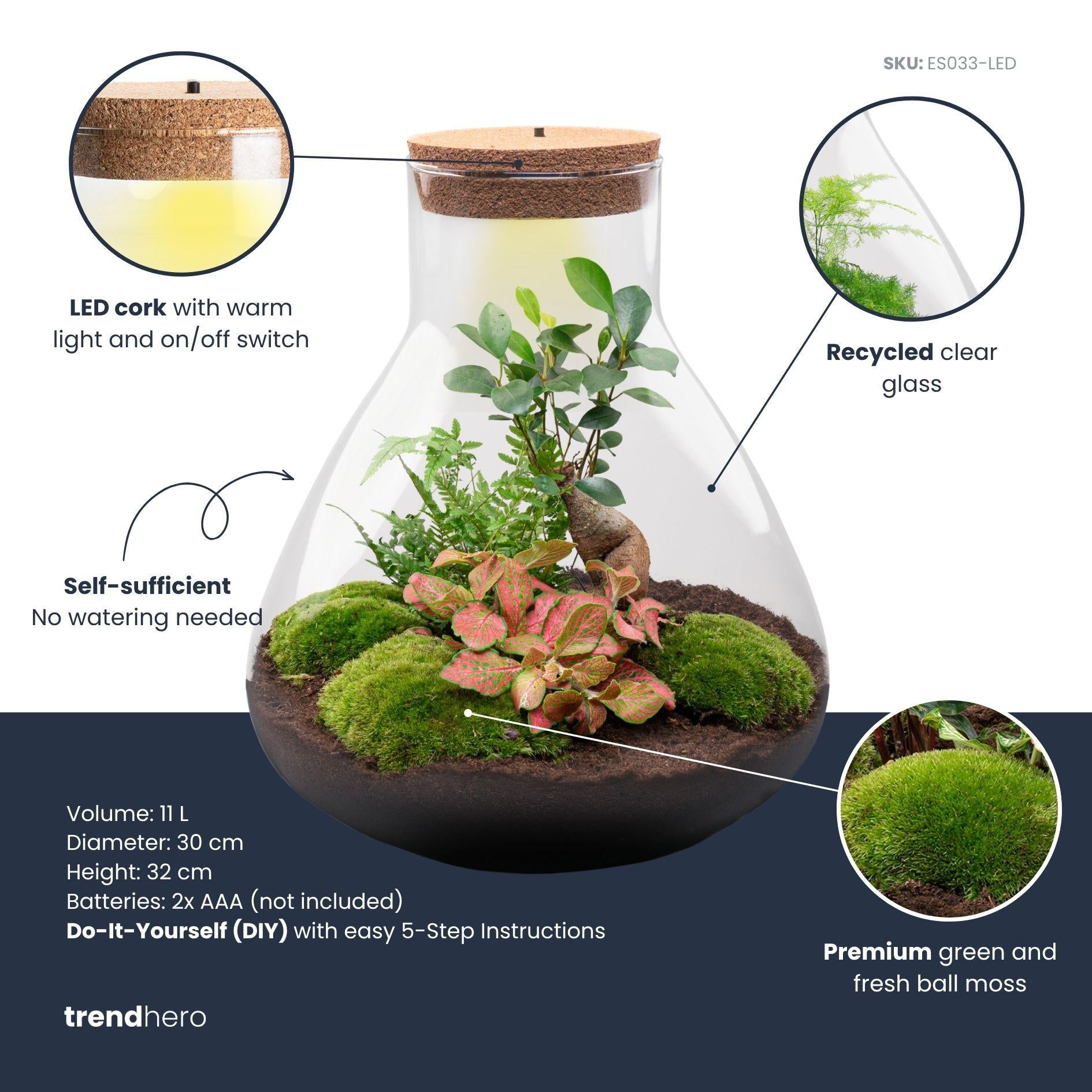 DIY Planten Terrarium met LED Licht - Sam XL Bonsai – Jouw Onderhoudsvrije Mini-Jungle 🌳💡 - ES+