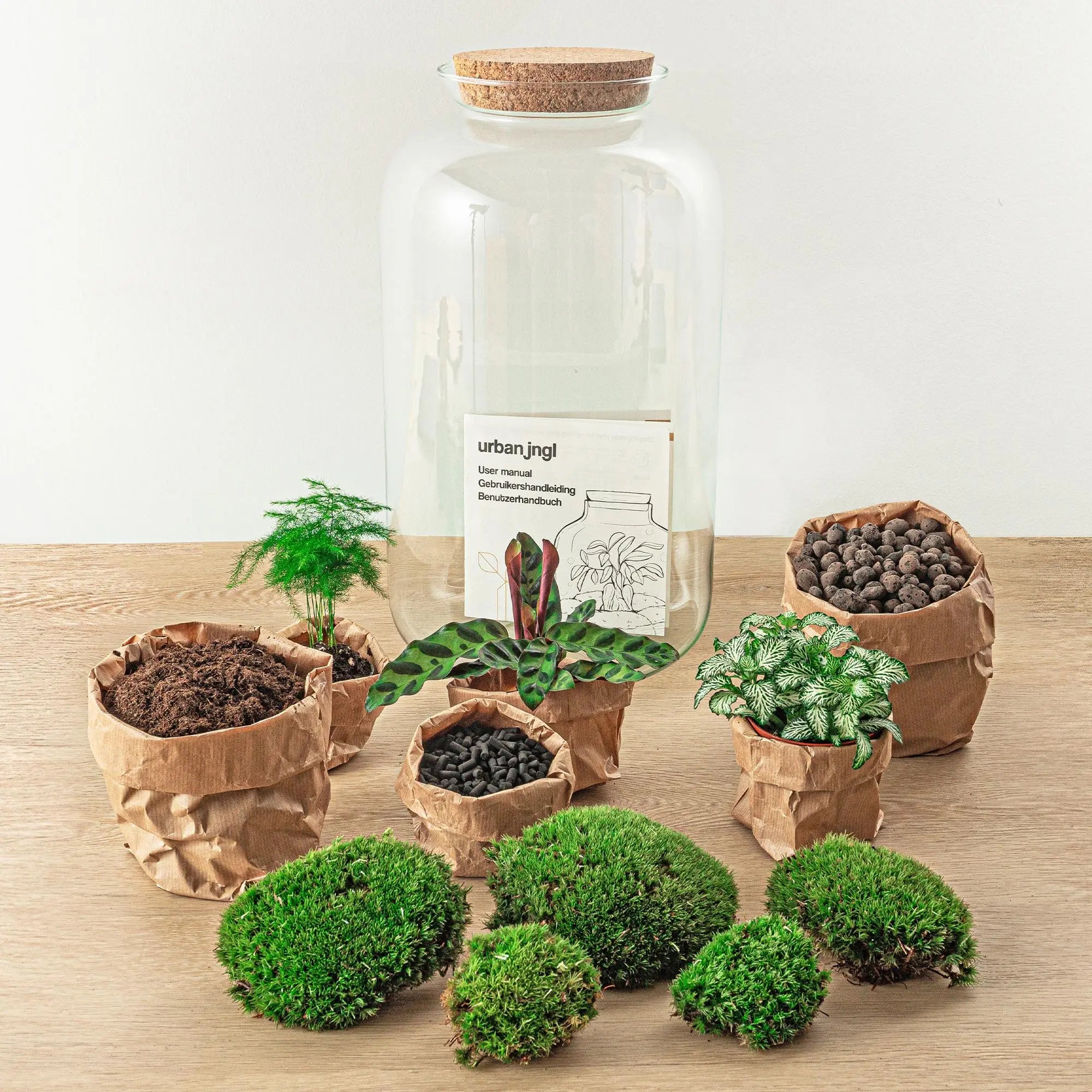 DIY Flaschengarten Set | Botanical Sven XXL – Autarkes Mini-Ökosystem inkl. Werkzeug 🌿🛠️ - ES+ Everspring