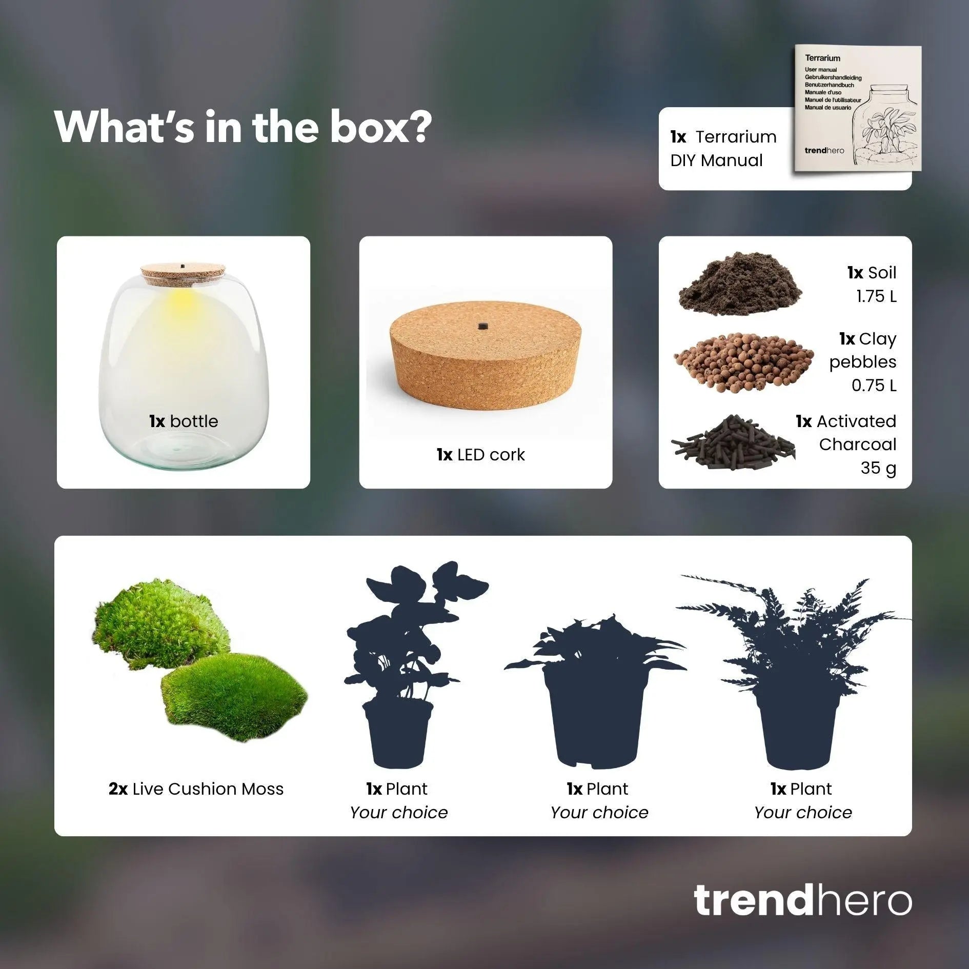 DIY Pflanzen-Terrarium Set "Emma" mit LED – Pflegeleichtes Mini-Ökosystem 🌿💡 - ES+ Everspring
