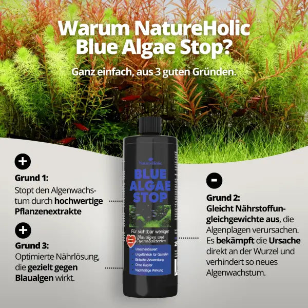 NatureHolic Blue Algae Stop: Schluss mit Blaualgen in deinem Aquarium AquaTimo