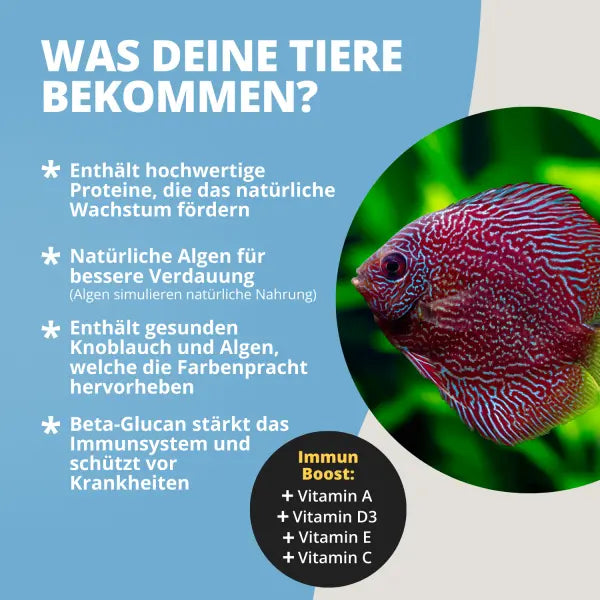 NatureHolic Discusfeed: Das Granulatfutter für futterempfindliche Diskus ohne Rinderherz! 🐠✨ AquaTimo